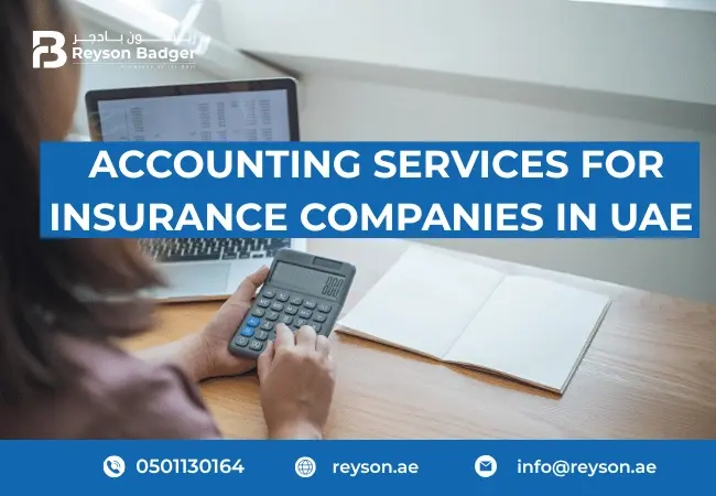 accounting-services-for-insurance-companies-in-uae.webp