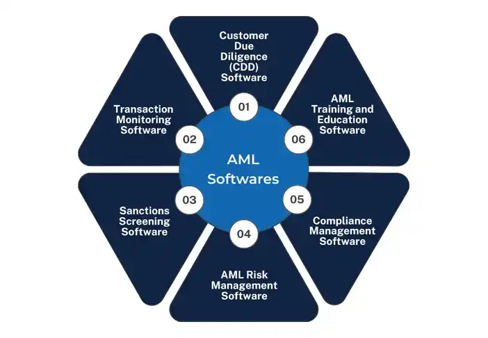 aml-software-service.webp