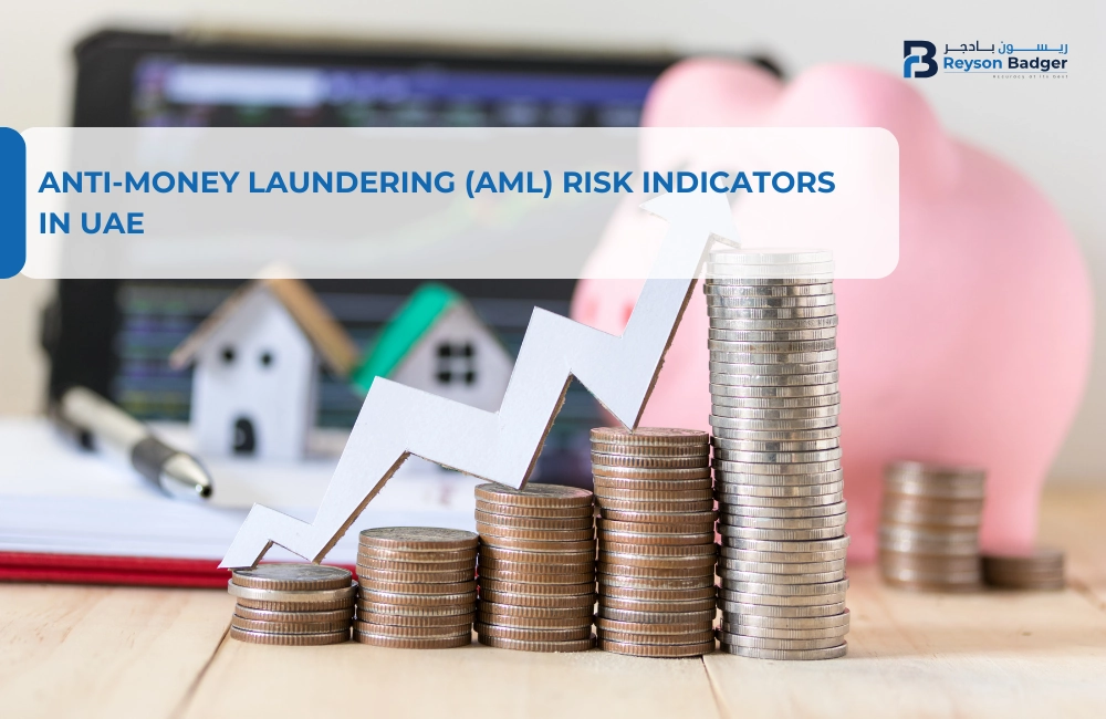 Anti-Money Laundering (AML) Risk Indicators in UAE