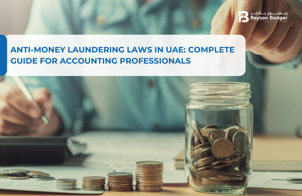 Anti-Money Laundering Laws in UAE: Complete Guide for Accounting Professionals