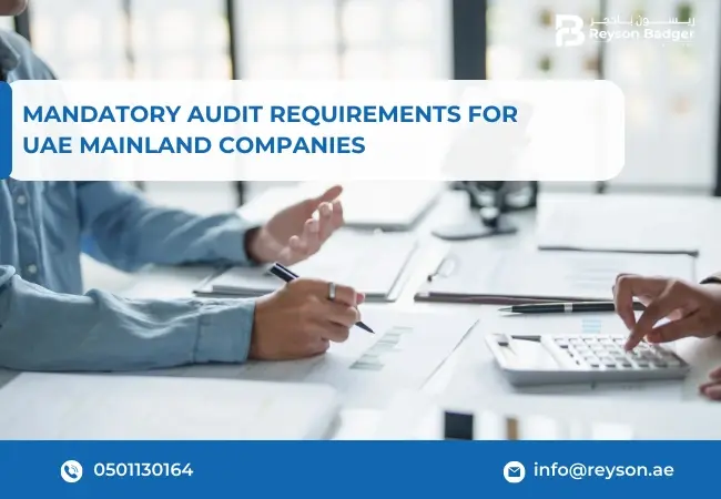 Mandatory Audit Requirements for UAE Mainland Companies