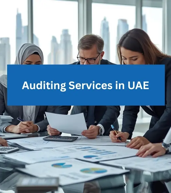 Audit Services in UAE