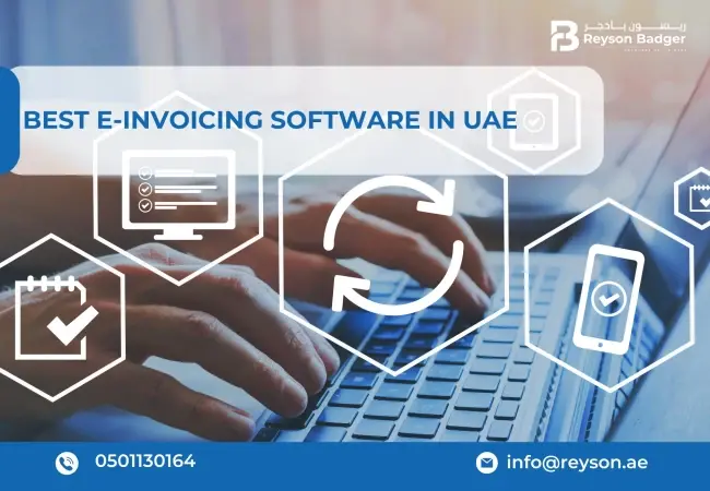 Best E-invoicing Software in UAE