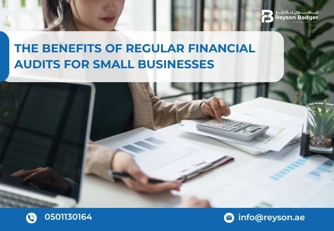 Regular financial audits