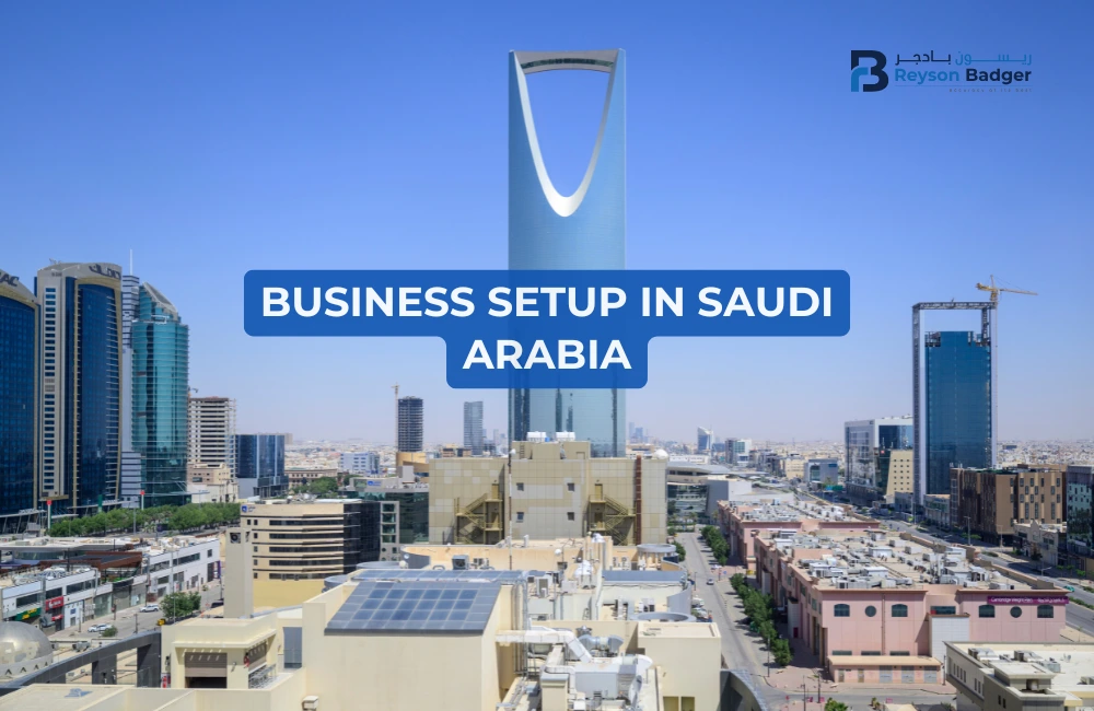 Business Setup Services