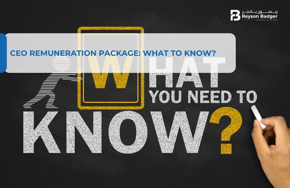 CEO Remuneration Package: What to Know?