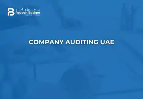 company-auditing-in-uae.webp