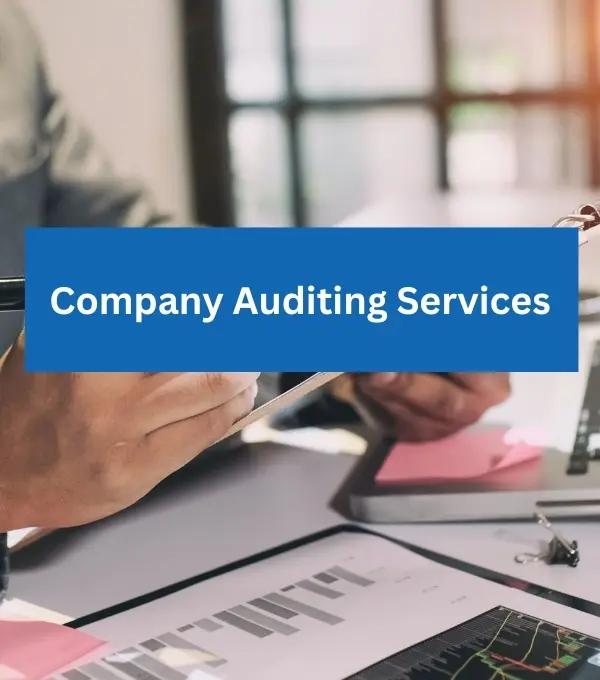 Company Auditing in UAE