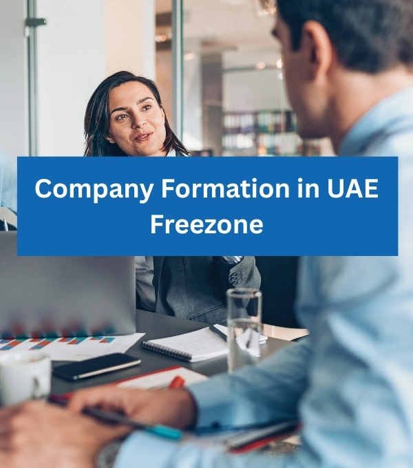 How to Start a business in a UAE free zone | business Setup