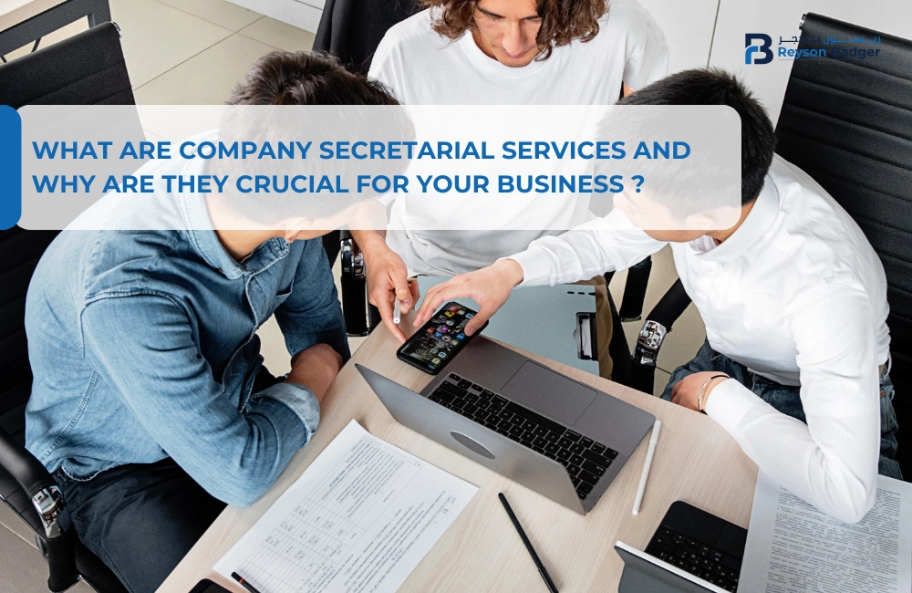 Why Company Secretarial Services Matter?