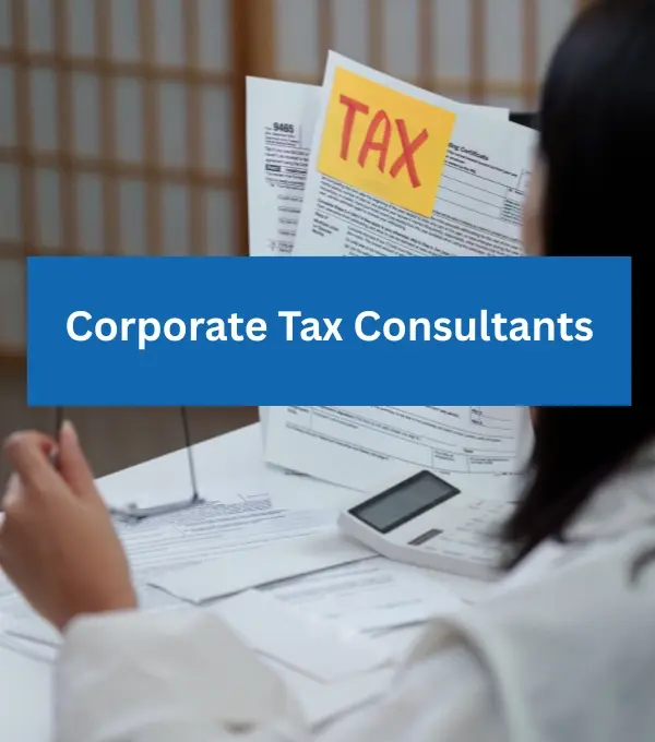 Corporate Tax Consultants Reyson Badger