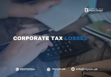 Corporate_Tax_Losses