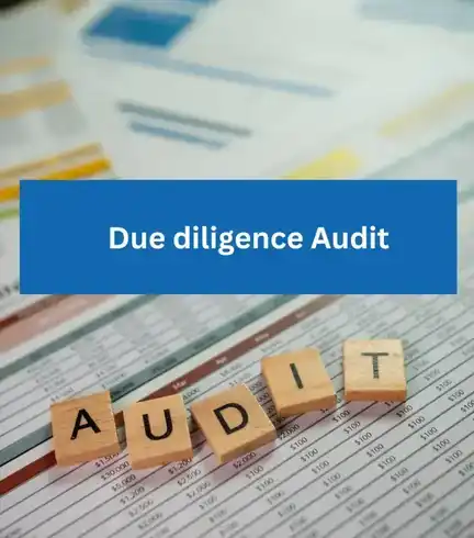 Due Diligence Audit