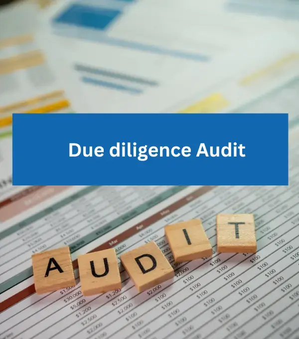 Due Diligence Audit