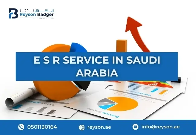 economic-substance-regulations-service-in-saudi-arabia.webp