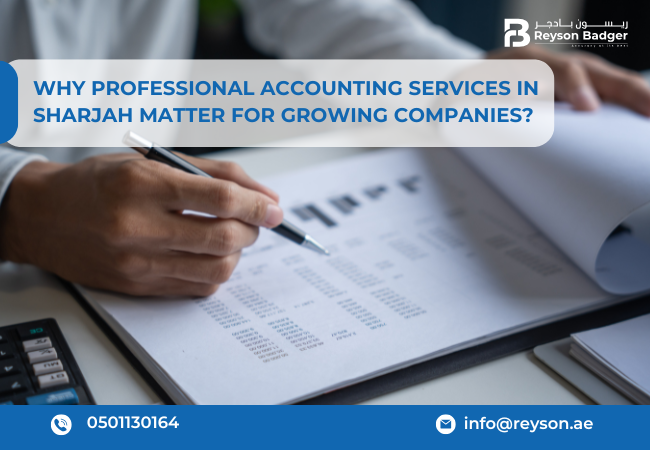 Accounting Software Consulting Services in UAE