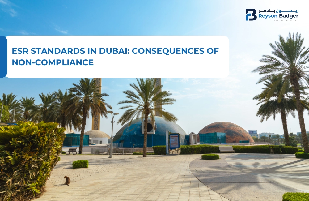 ESR Standards in Dubai: Consequences of Non-Compliance