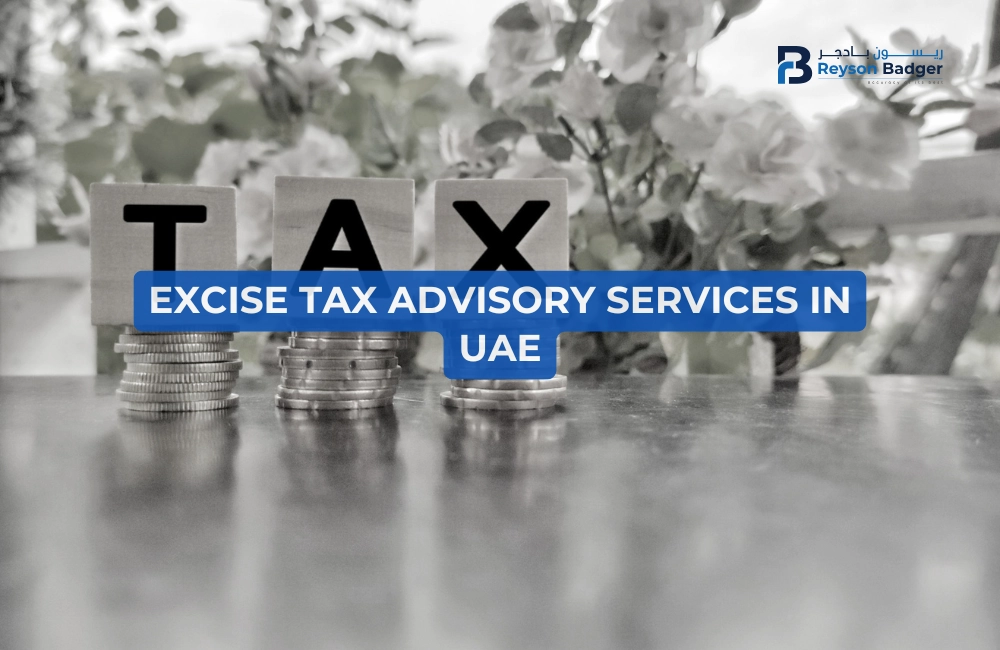 excise-tax-advisory-services-in-uae-1.webp