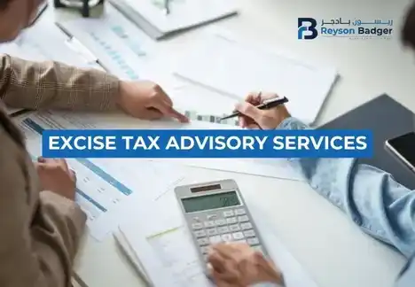 excise-tax-advisory-services-in-uae.webp