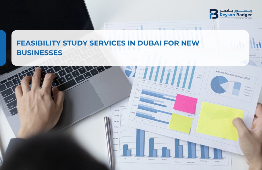 Why does your Dubai Insurance Business Need Expert Accounting?