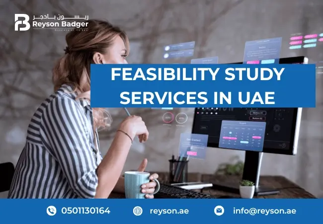 feasibility-study-services-in-uae.webp