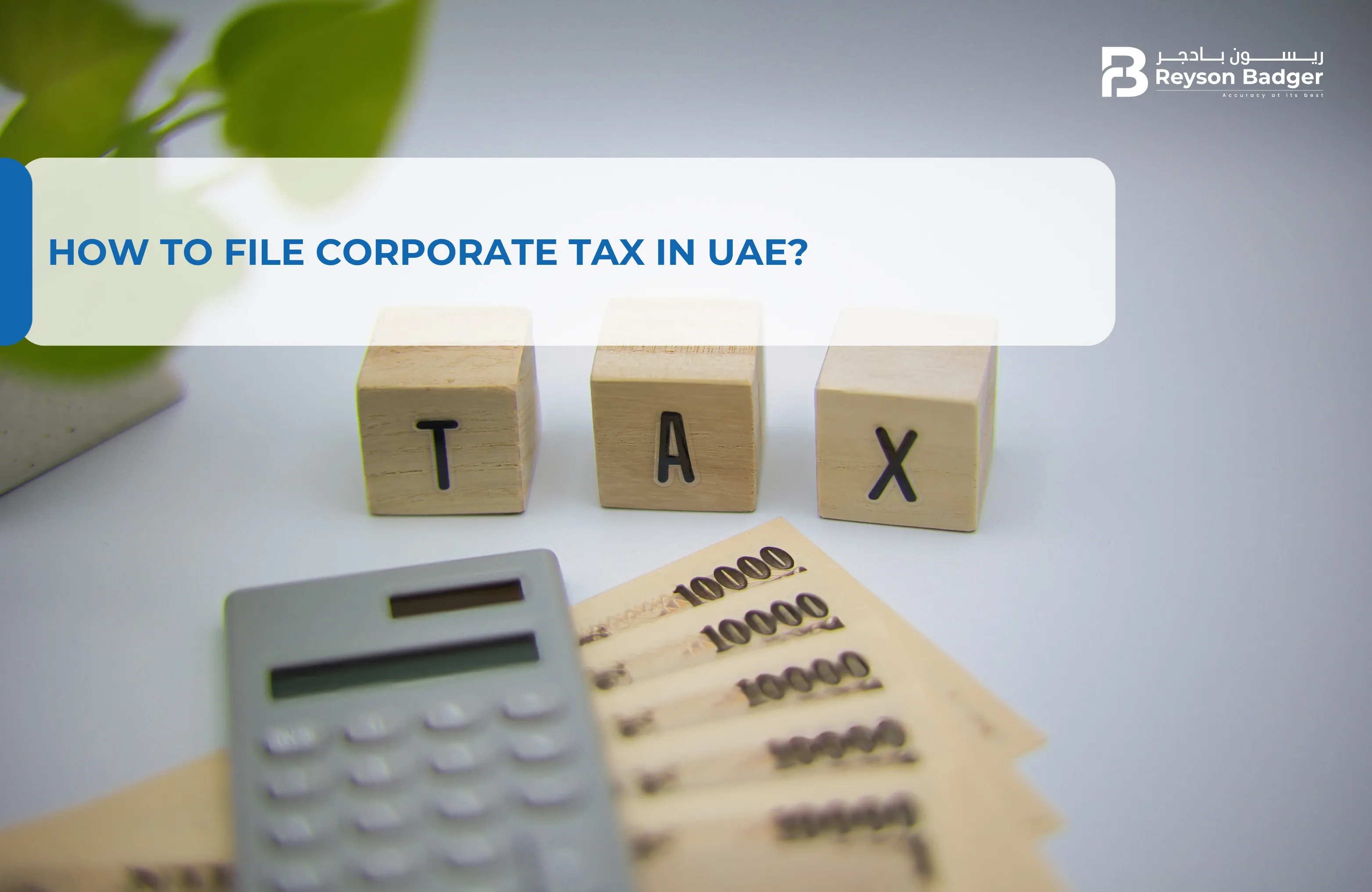 How To File Corporate Tax in UAE?