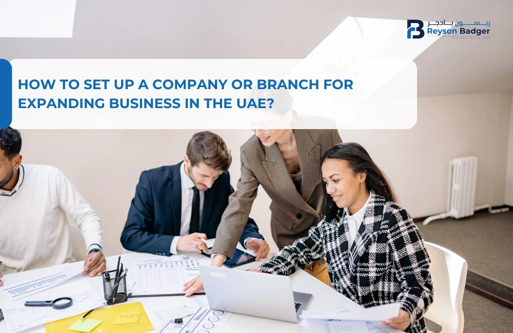 How to Set Up a Company or Branch for Expanding Business in the UAE?