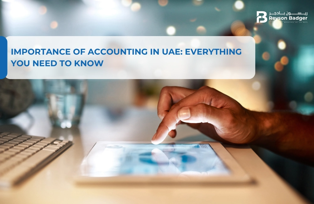 Importance Of Accounting in UAE: Everything You Need To Know