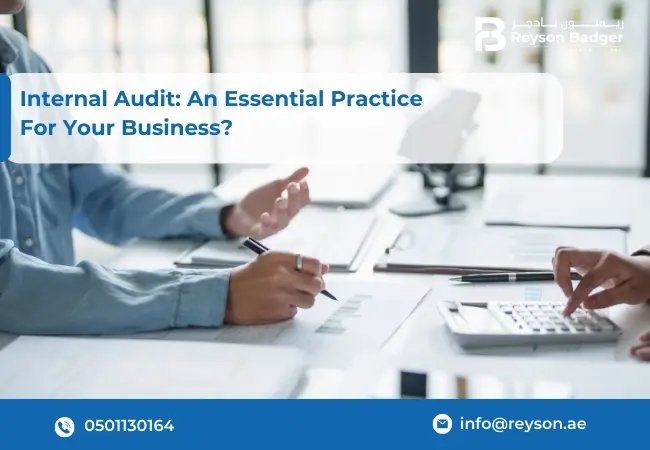 Internal Audit: An Essential Practice For Your Business?