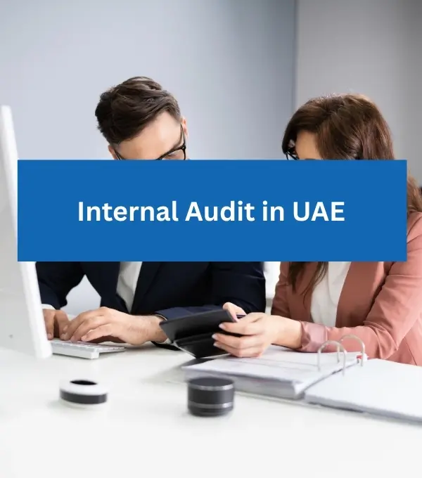 Internal Audit Services