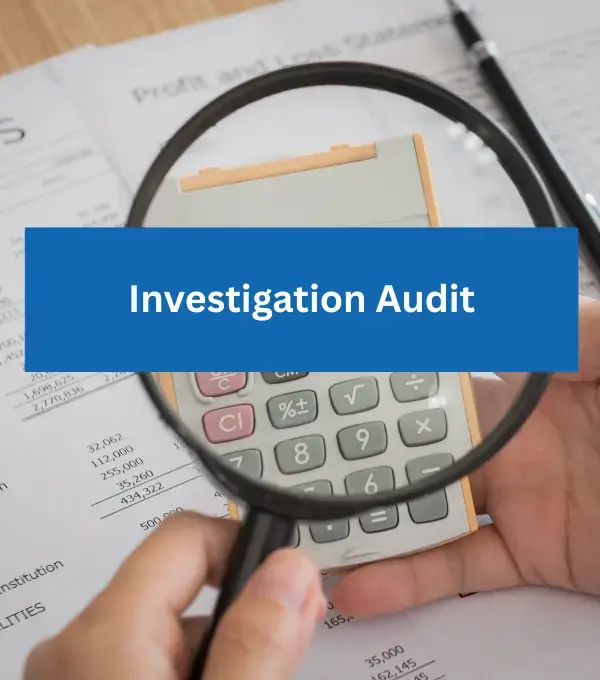 Investigation Audit