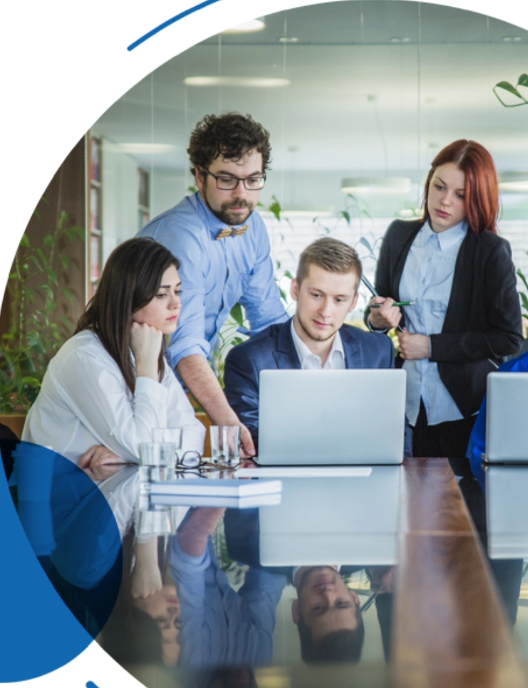 Adaptive Solutions for Your Auditing Problems