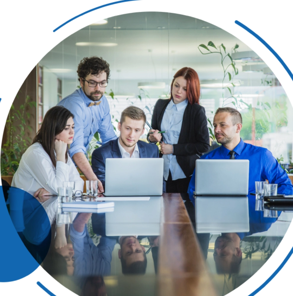 Adaptive Solutions for Your Auditing Problems