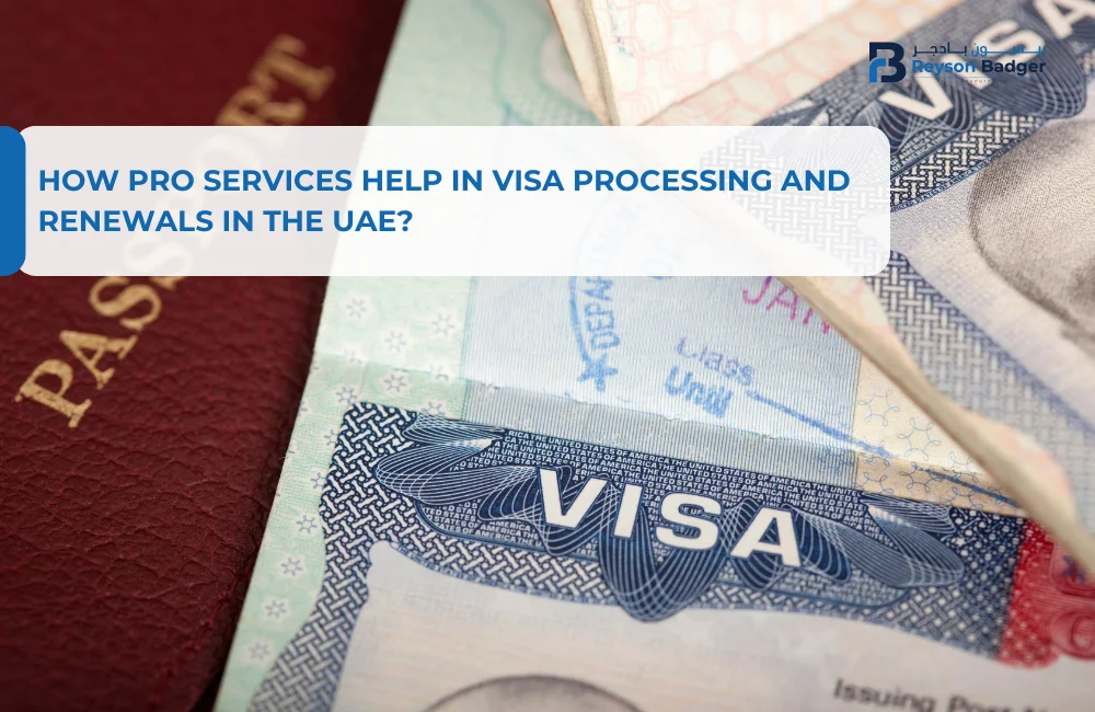 How PRO Services Help in Visa Processing and Renewals in the UAE?