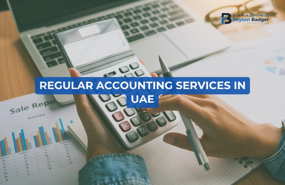 regular-accounting-services-in-uae.webp