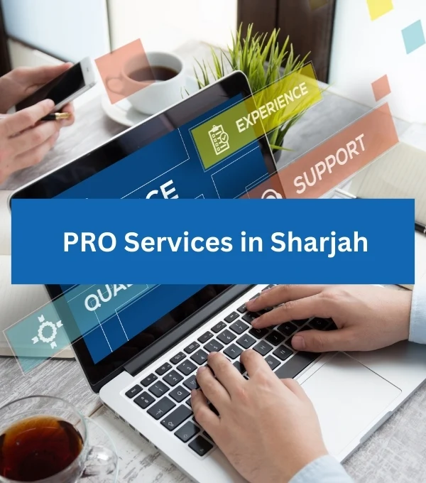 pro services in sharjah