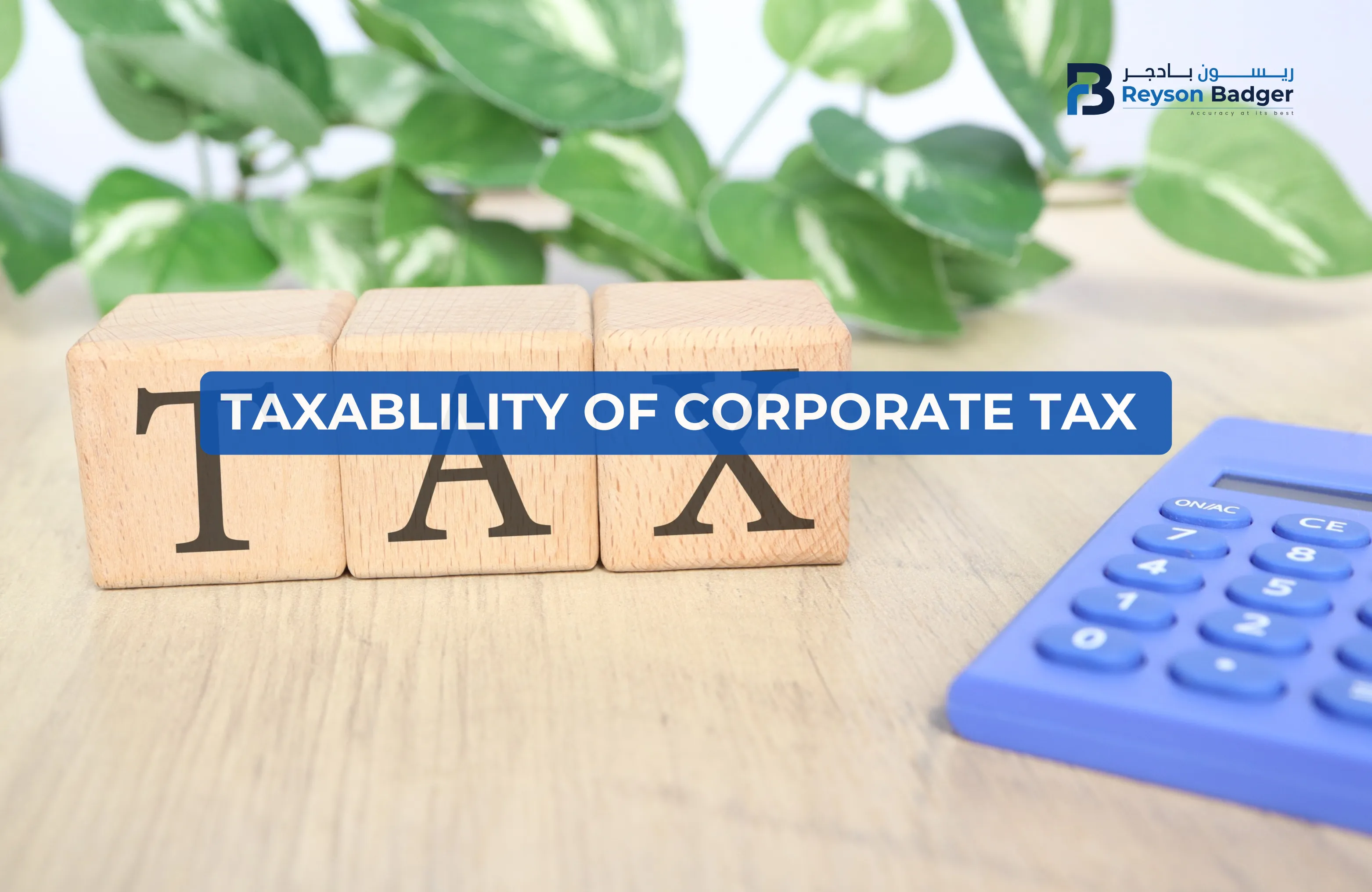taxability-corporate.webp