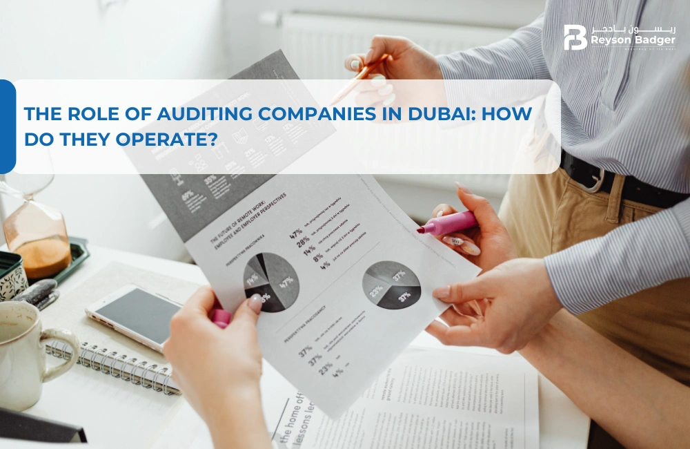 The Role of Auditing Companies in Dubai: How do they Operate?