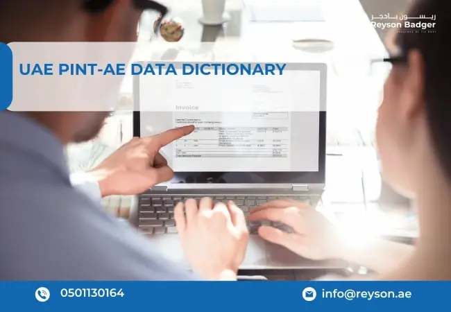 Detailed Guide on the UAE PINT-AE Data Dictionary