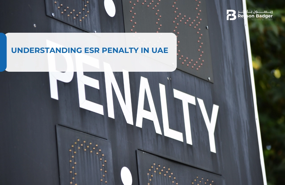 Understanding ESR Penalty in UAE