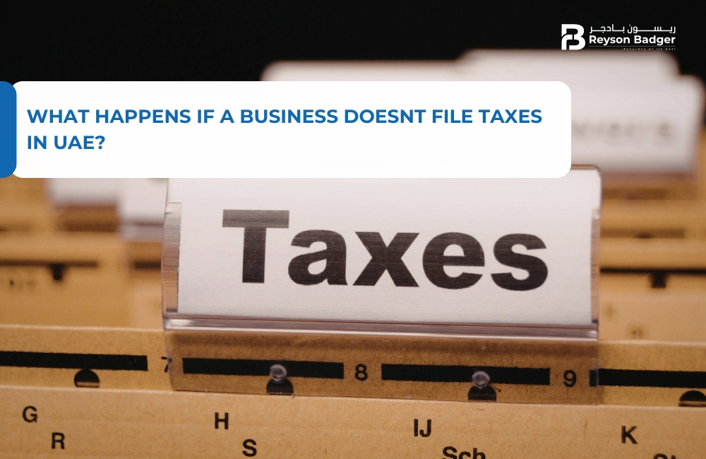 What Happens If a Business Doesnt File Taxes in UAE?